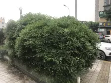 经开区 鑫泰万友康苑一房38万