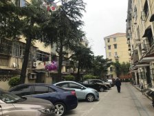 洋泾·栖山路400弄·1室·0厅