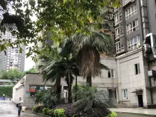 盘龙商圈精装1房,采光好,户型方正