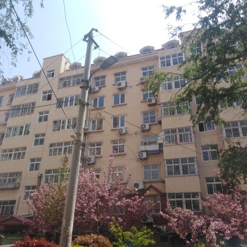 鹏飞花园(李沧)3室1厅1卫南北朝向2500.00元/月出租