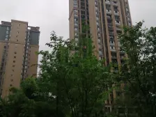 李家沱 融汇半岛玫瑰公馆四房102万