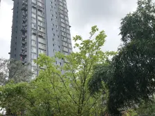 一室一厅有外阳台,采光好,走路就到石坪桥轻轨站