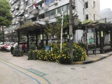 阳二小区 1室1厅 南