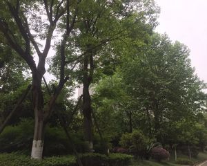 天府欣苑东区4室2厅南