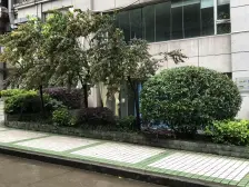 盘龙商圈精装1房,采光好,户型方正