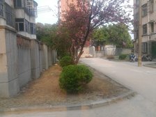 满五年地铁200米南北通楼层好采光好