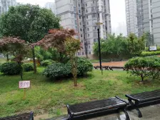 泽京微V 2室1厅 南