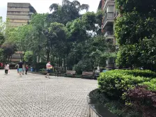 视野开阔,无遮挡,住家装修,安静舒适