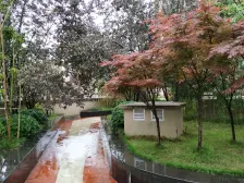 弹子石 泽京微v二房54万