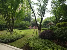 照母山 融创凡尔赛领馆二期三房119.8万