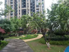 东原次新横厅三房,清水,随时可看。