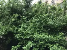 近地铁,三房一厅户型,一梯两户,满五年税费少