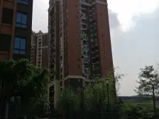 花溪 典雅花溪半岛一房39万