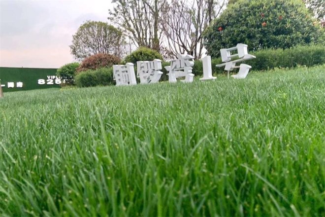 铜锣湾1号