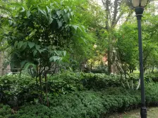 弹子石 国际社区海悦府二房88万