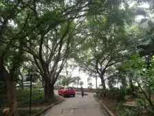 龙溪镇 岭秀锦园四房105万