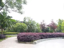 九宫庙 佳禾鑫新座二房