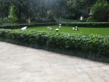 弹子石 国际社区海悦府四房