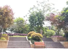 佳禾鑫新座 1室1厅 南