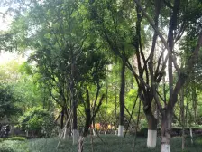 弹子石 国际社区江御四房165万