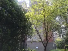 盾安九龙城A区 2室1厅 西南