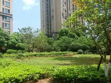 茶园新区 同景国际城香溪美岸(M组团)三房75万