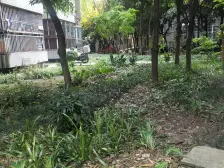 盘龙花园二期自住修装二房 产权清晰 交易方便