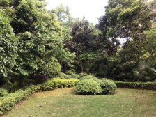 和泓洋房精装一楼 带前后花园 地下室 产权车位 位置佳