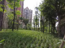 成熟社区 小三居 交易方便 业主急售