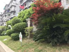 全明户型,户型正气,采光好,近地铁交通方便。