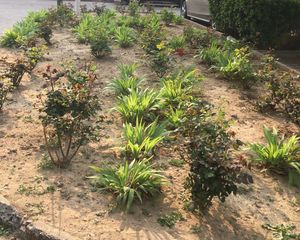 蓝天苑4室2厅南北