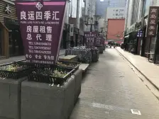 好资源 一室小户型 光线好不遮挡 视野开阔