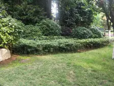 海悦府精装4房,业主急售,、实地看效果很好