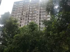 楼梯房楼层不高 交通出行 生活购物都方便 绿化好