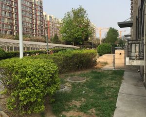 蓝天苑3室2厅南北