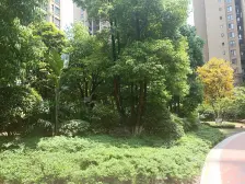 三房双卫户型 轻轨边,户型方正,楼层好