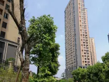 巴滨路+小区安静+品质小区+住家舒适+一线邻江