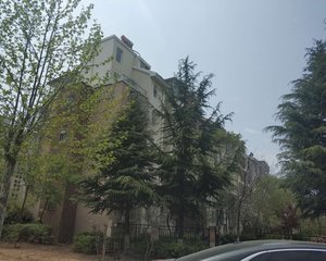 马山新城电梯房,装修好,套三,好楼层,好位置。