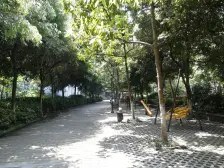 民安大道 双轻轨 童心+川外 装修才2年 30万 随时看房