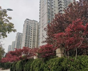 第五城市精装套二、前排采光好、近地铁