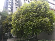 华韵天府 4室2厅 东北