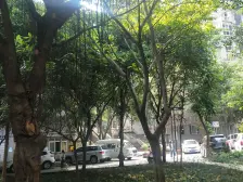 已满2年 证在手 业主诚心卖 生活配套很方便