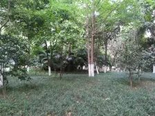 彩云湖畔 天骄城精装大2房 诚心出售