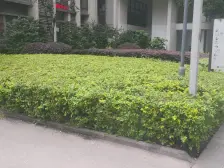 三峡广场 融汇国际温泉城C区(圣地亚)一房38万