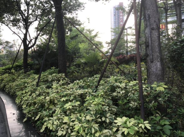 麟恒中心广场二期