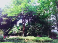 东原锦悦 3室2厅 东 南