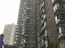 环线 西南医院旁 近凤小 户型好 采光好 视野好