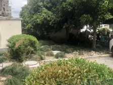 南翔地铁口 精装修 户型方正 看房方便