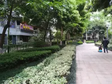 协信天骄城 4室1厅 南