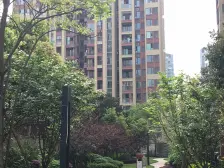 四房,重庆大学旁,门口十七号线,真的方便啊,